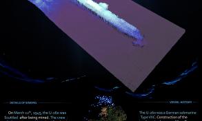 U 260