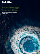 INFOMAR Foresight Assessment Report